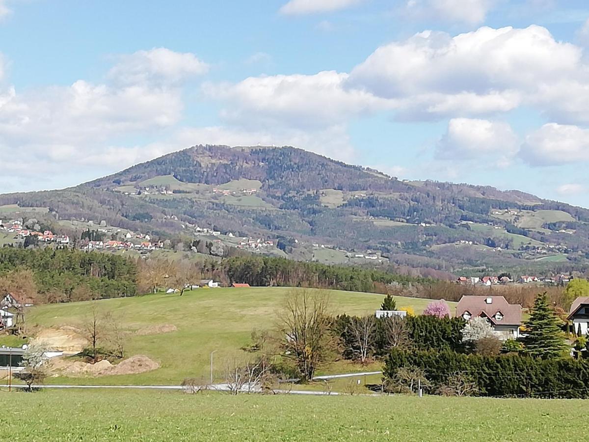 Ferienwohnung Wachmann Rohrbach am Kulm ห้อง รูปภาพ