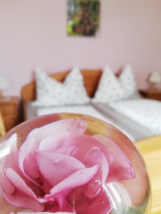 Ferienwohnung Wachmann Rohrbach am Kulm ภายนอก รูปภาพ